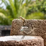 Сasa de vacaciones Casa Testeyna Timanfaya In Tegoyo