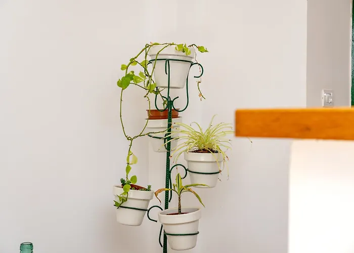 Prázdninový dům Casa Testeyna Timanfaya In Tegoyo Conil