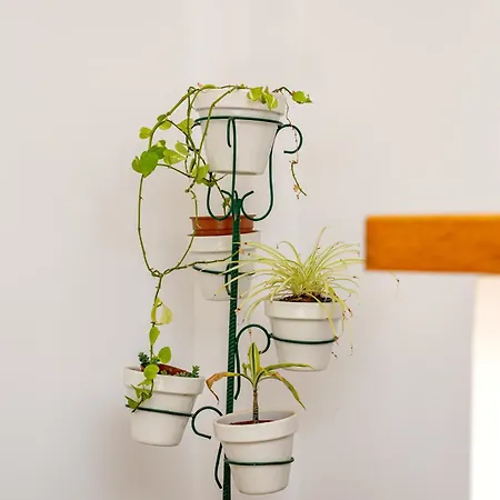 펜션 Casa Testeyna Timanfaya In Tegoyo Conil