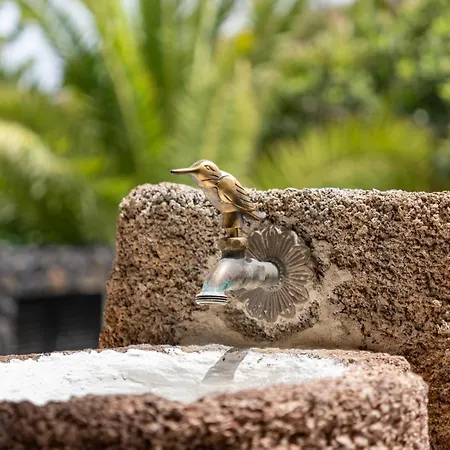 펜션 Casa Testeyna Timanfaya In Tegoyo